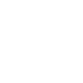 Favico Teatro Municipal Blanco