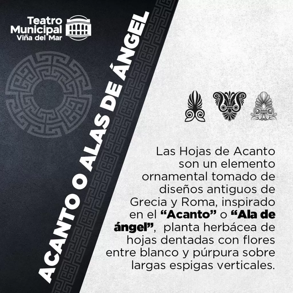 Acanto o alas de ángel