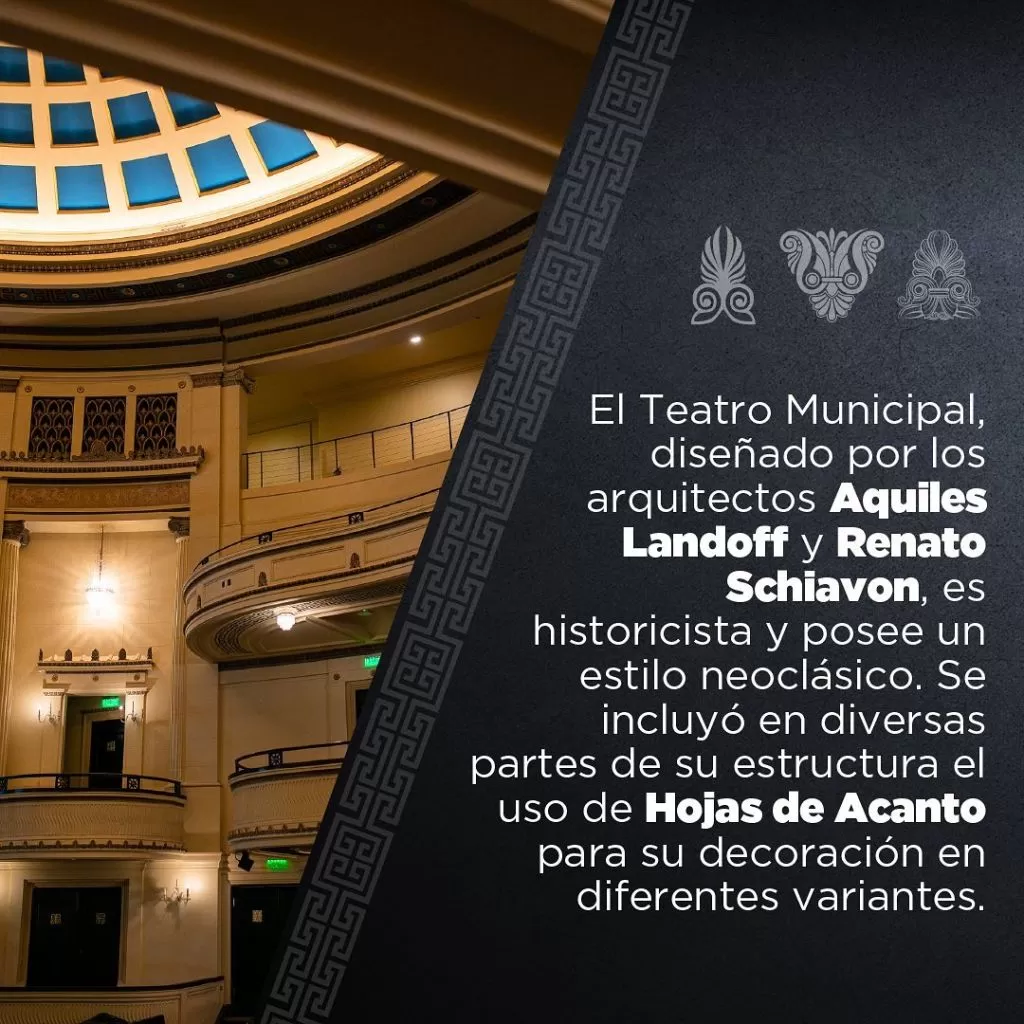 Hojas de Acanto